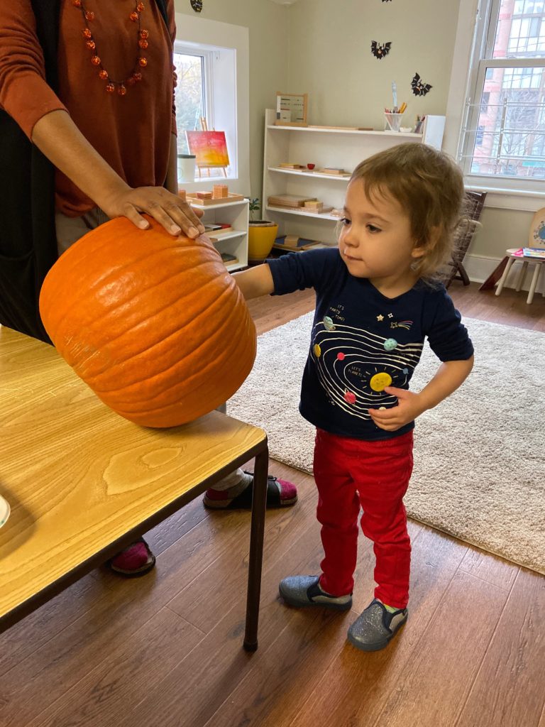Pumpkin Carving for Halloween